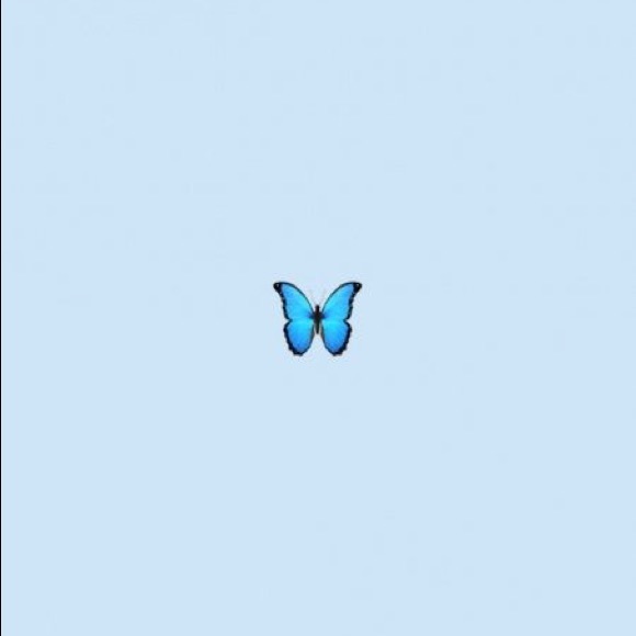 Meet your Posher, Leonor - Picture 1 of 1